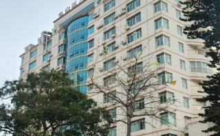 崇左市茂名入职体检服务
