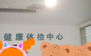 崇左市陇南入职体检服务