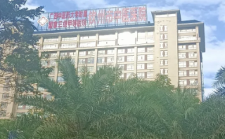 崇左市钦州入职体检服务