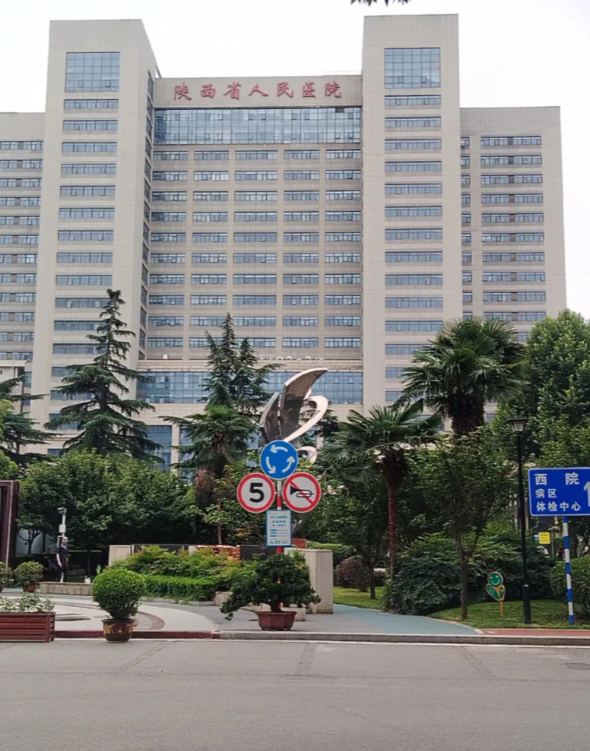 崇左市西安体检服务-第1张图片-代解忧