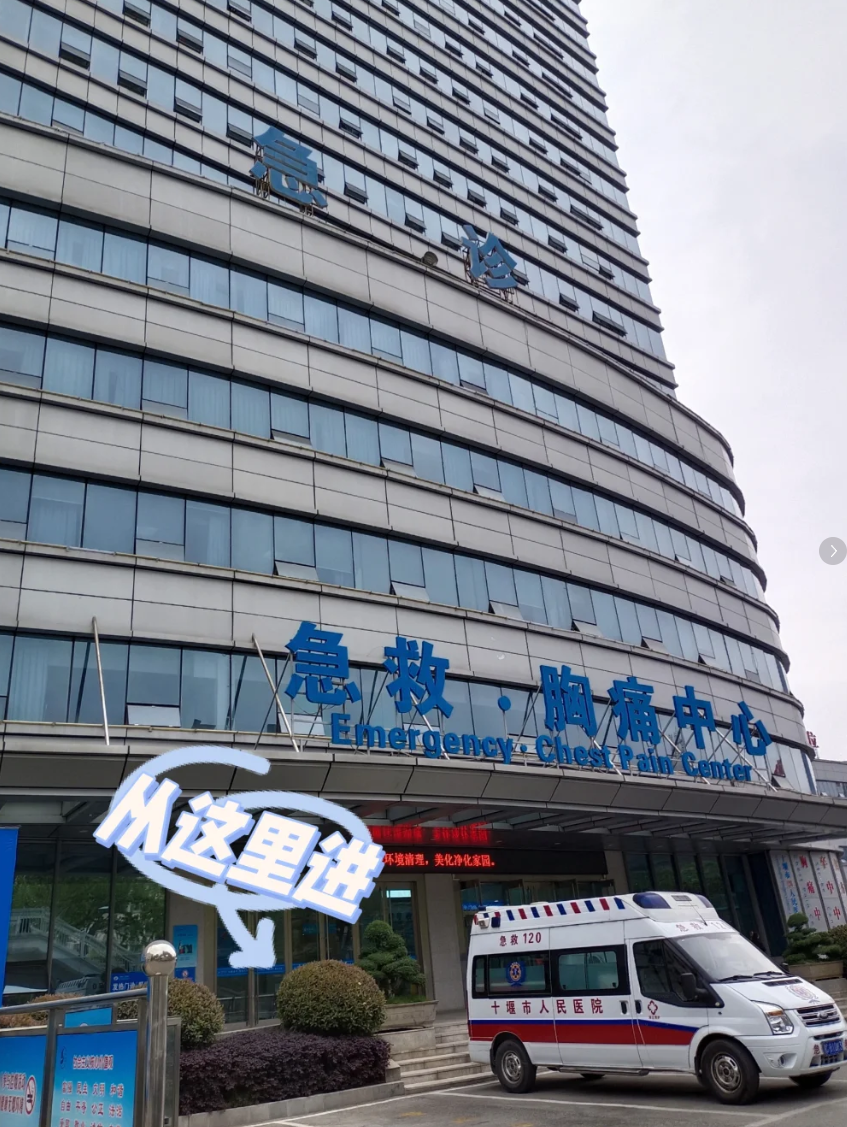 崇左市十堰入职体检服务-第1张图片-代解忧
